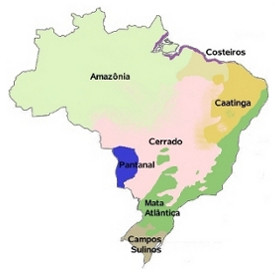 Map of the Brazil biomass