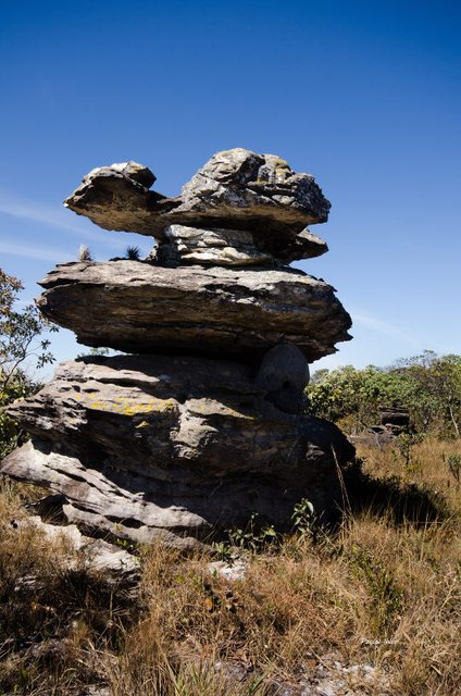 Insolites et paysages du Cerrado