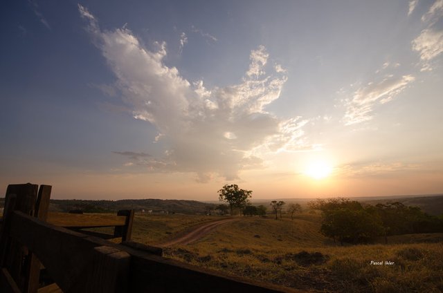 Insolites et paysages du Cerrado