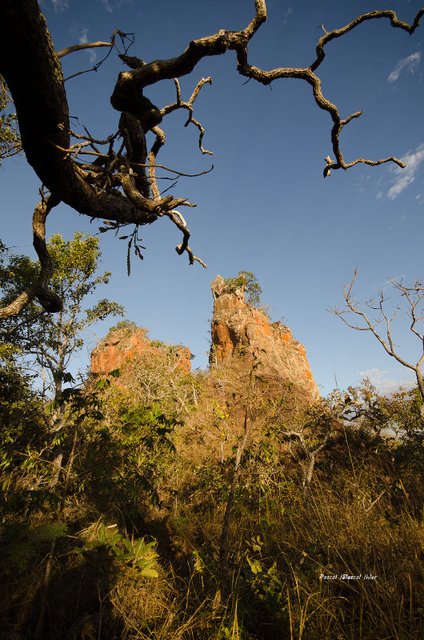 Insolites et paysages du Cerrado
