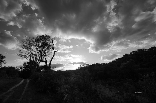 Insolites et paysages du Cerrado