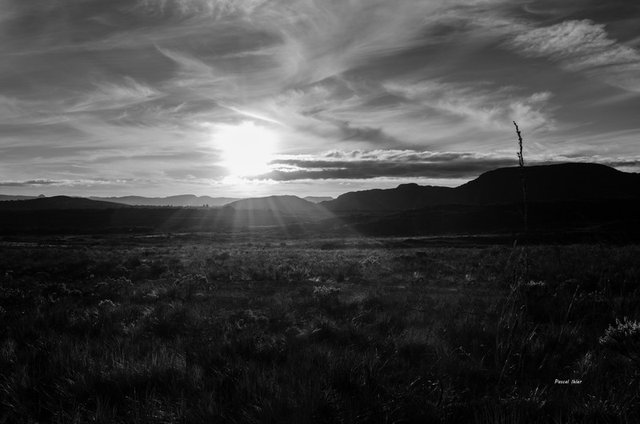 Insolites et paysages du Cerrado