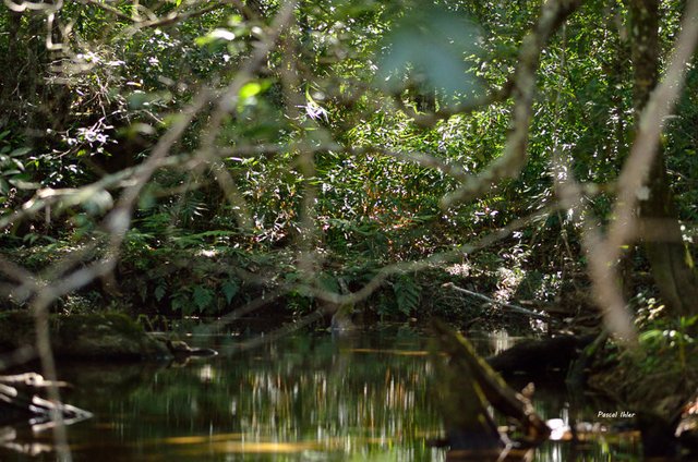 L'eau - Sélection de photographies