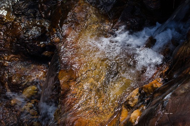 L'eau - Sélection de photographies