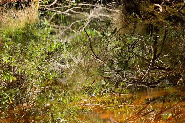 L'eau - Sélection de photographies