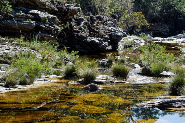L'eau - Sélection de photographies