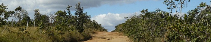 Cerrado biomass landscapes photos (rivers, sierras, etc)