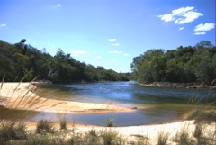 The riverine forest or ponds