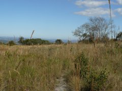 Photograph of dirty field of Cerrado in Brazil