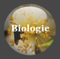 Icone biologie