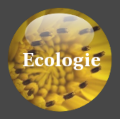Icone ecologie