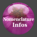 Icone nomenclature