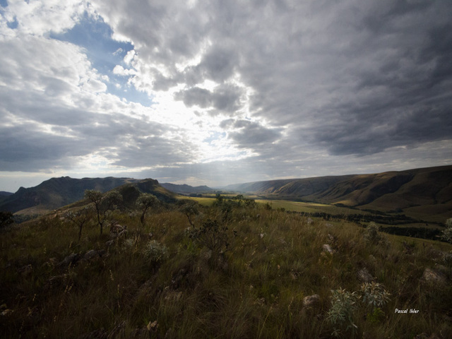 Serra da Canastra - Etat de Minas Gerais