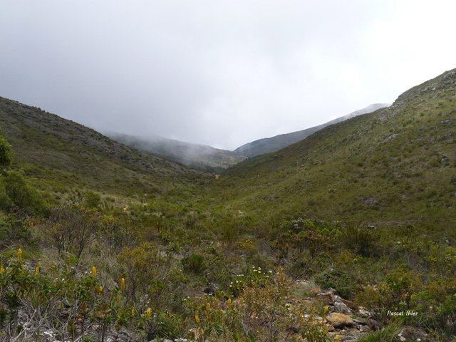 Parc National do Caparaó - états de Minas Gerais et de Espírito Santo