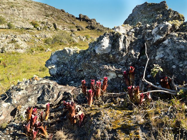 Pic de Itambé - Etat de Minas Gerais