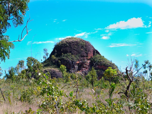 Parc du Jalapão - Etat de Tocantins