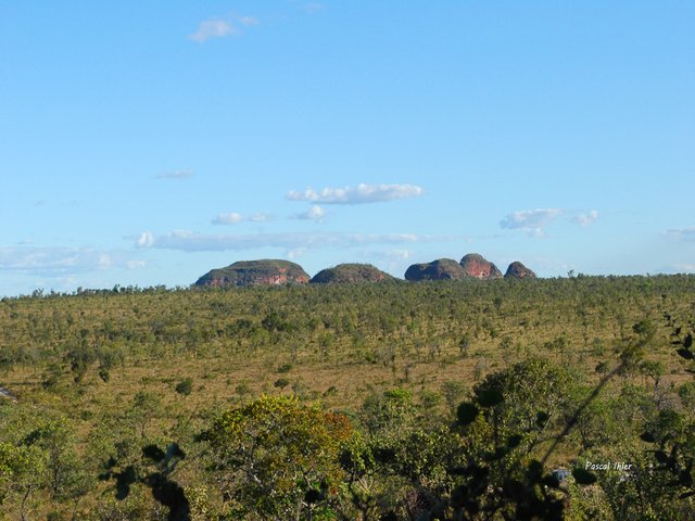 Parc du Jalapão - Etat de Tocantins