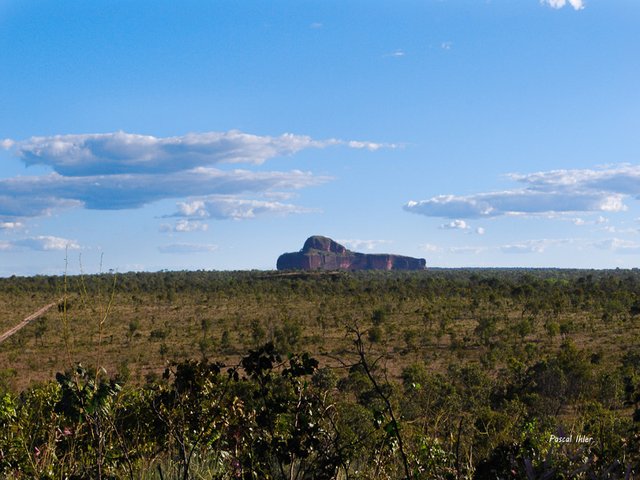 Parc du Jalapão - Etat de Tocantins