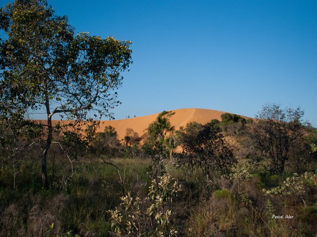 Parc du Jalapão - Etat de Tocantins
