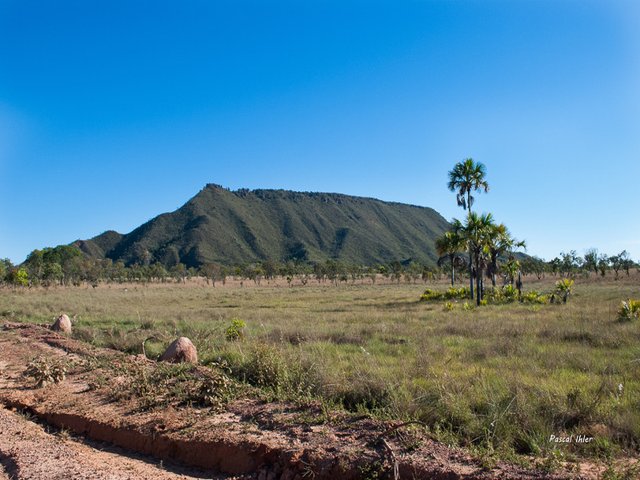 Parc du Jalapão - Etat de Tocantins
