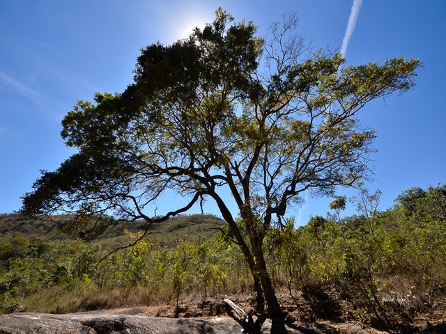 Massif montagneux de Pirenópolis