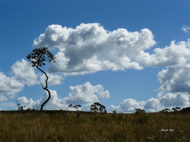 Massif montagneux de Pirenópolis