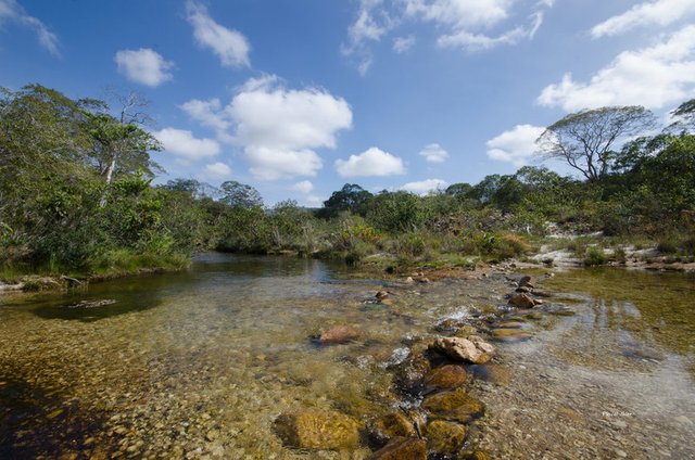 Parc du Rio Preto - Etat de Minas Gerais