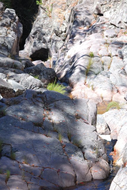 Chapada dos Veadeiros - Etat de Goiás