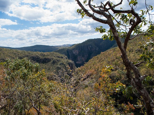 Chapada dos Veadeiros - Etat de Goiás