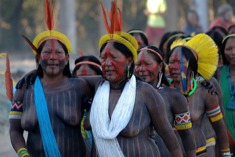 Populations indigènes