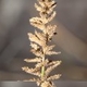 PHOTOGRPAGEINDEX