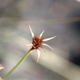 PHOTOGRPAGEINDEX