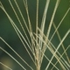 PHOTOGRPAGEINDEX