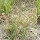 PHOTOGRPAGEINDEX