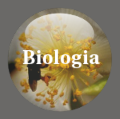 Botão - Noções sobre a biologia da planta