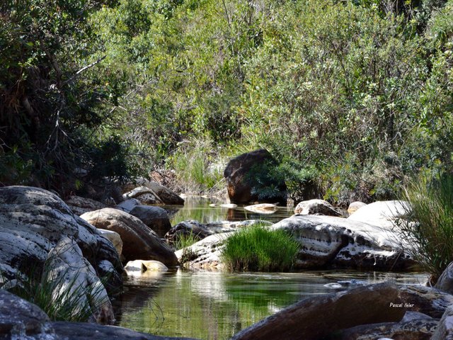 Serra do Cipó - Etat de Minas Gerais