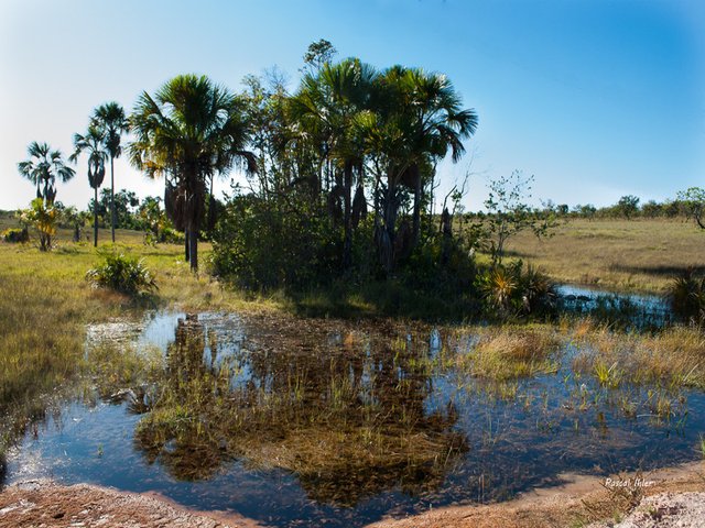 Parque do Jalapão - Estado de Tocantins