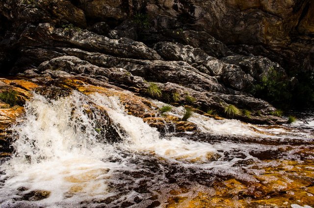 Parque Estadual du Rio Preto - Estado de Minas Gerais