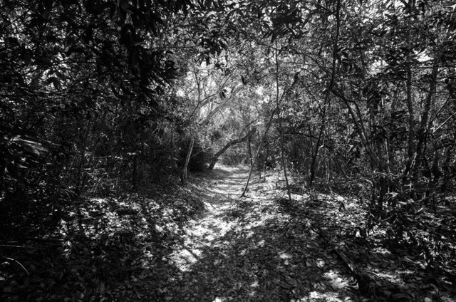 Parque Estadual du Rio Preto - Estado de Minas Gerais