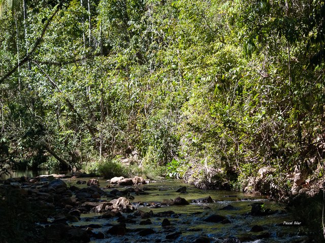 Chapada dos Veadeiros - Estado de Goiás