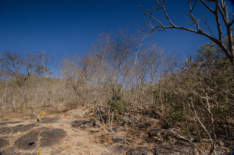 Paisagens e Cerrado insólito, estranho ...