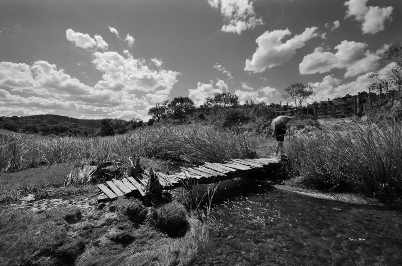 Paisagens e Cerrado insólito, estranho ...